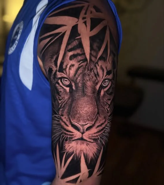 Tigre entre bambus no braço